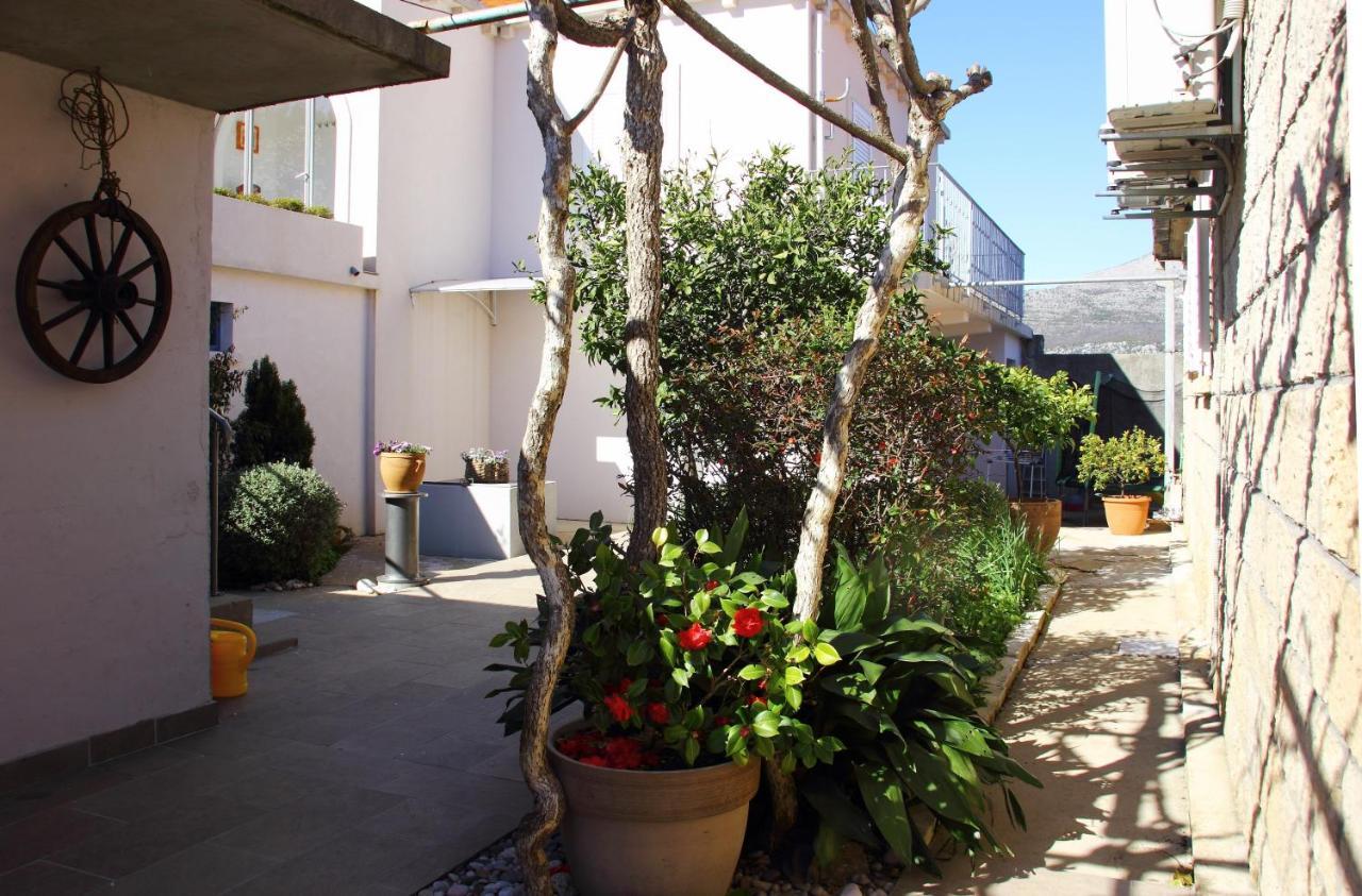 Apartment Marita Čilipi Exteriér fotografie